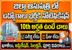 Chittoor Govt Hospital Recruitment 2026