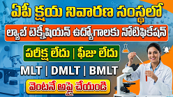 Lab Technician recruitment 2026